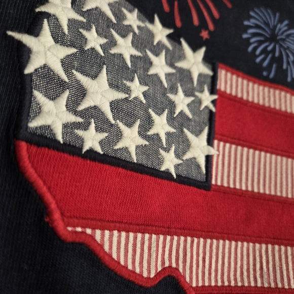 Gymboree Boys Navy Embroidered American Flag Tshirt 10 - American Cutie - Picture 5 of 6